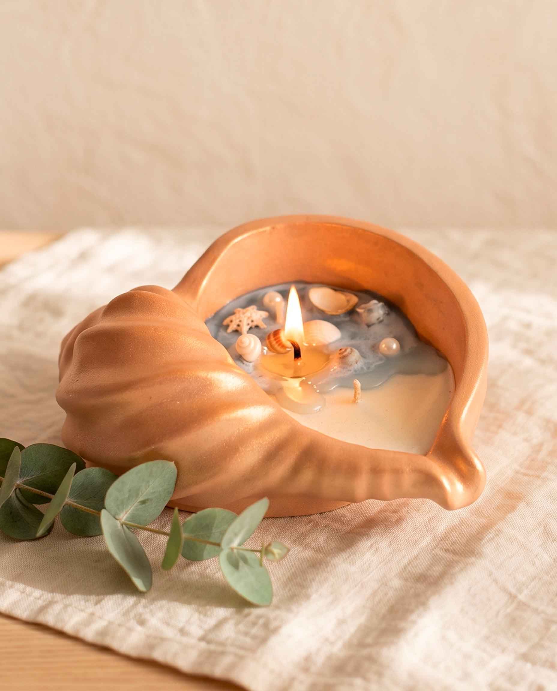 «Երկու խեցի» հավաքածու